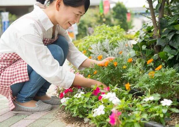 枝豆の育て方と家庭菜園に向いている野菜3選 プランターで水やり 間引き 肥料 ベランダ菜園 Com