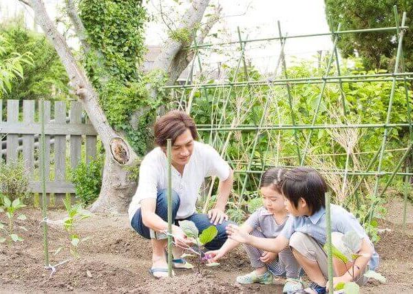 枝豆の育て方と家庭菜園に向いている野菜3選 プランターで水やり 間引き 肥料 ベランダ菜園 Com