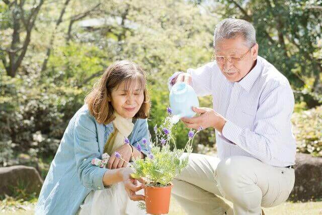 かぶやかぼちゃの育て方 室内やベランダで簡単栽培 ベランダ菜園 Com